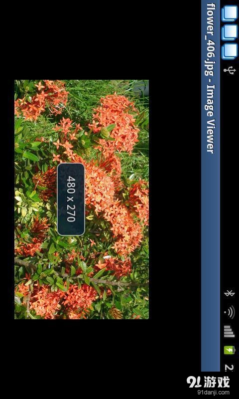 Image Viewer