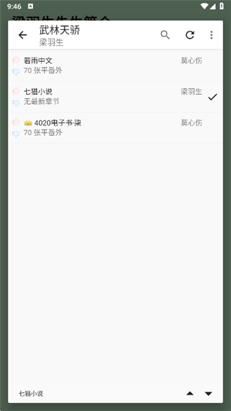 怎么换源配图3