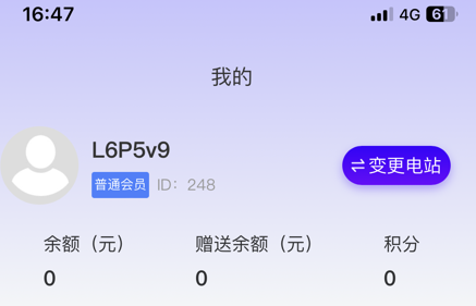 应用界面示意图