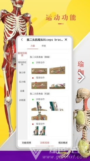 3Dbody艺用(3Dbody艺用三维人体模型)V8.4.41 安卓最新版