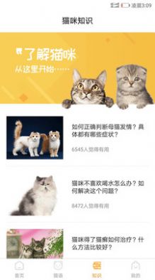 抖音爆火的猫咪情绪识别