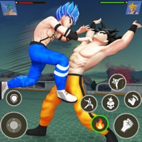 空手道国王：动漫战斗 ios版