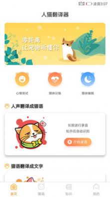 抖音爆火的猫咪情绪识别