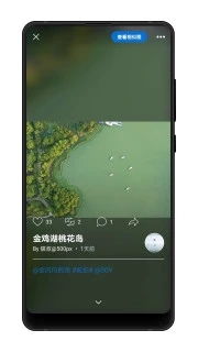 500px中国版