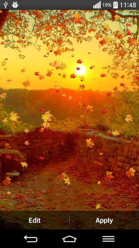 Autumn