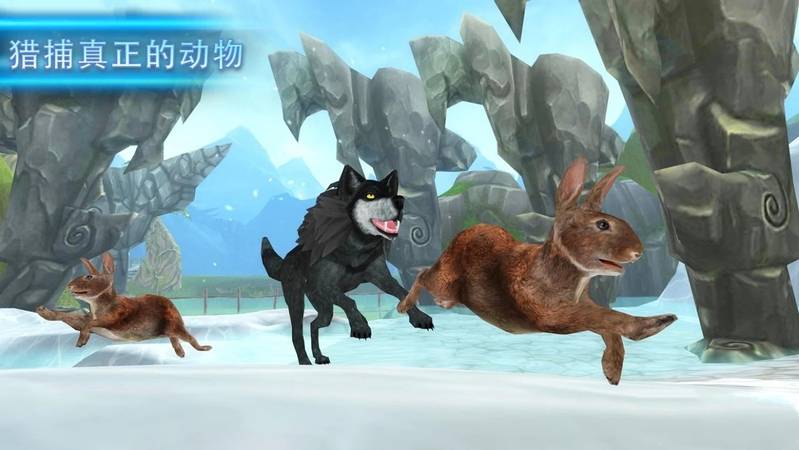 狼之进化