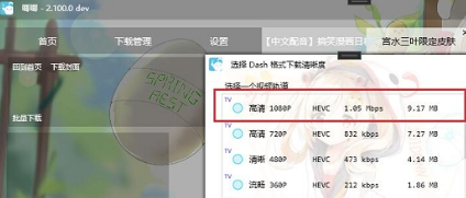 软件界面示意图