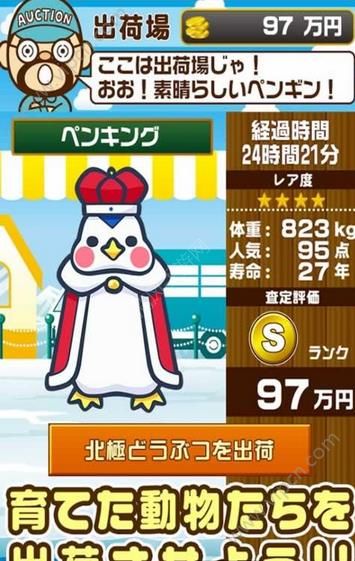 北极动物园九游版