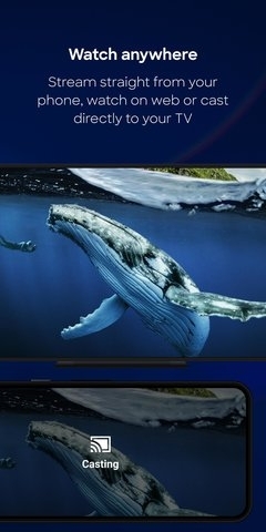 discovery+