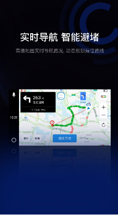 驾驶伴侣 ios版