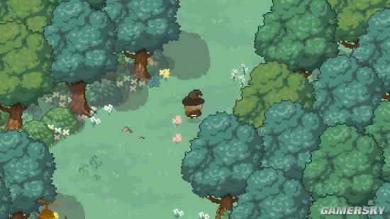 little witch in the woods