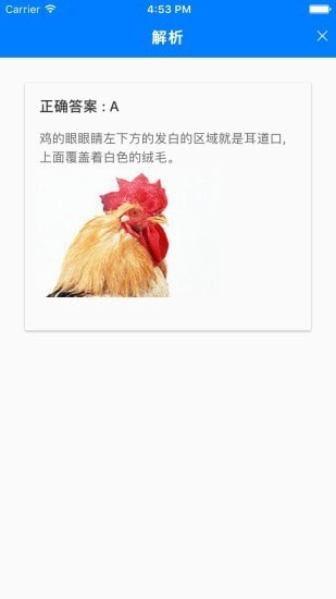 乐趣答题