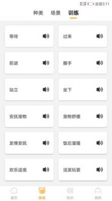 抖音爆火的猫咪情绪识别