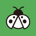 码虫刷题 ios版
