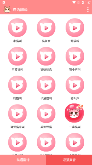 猫语翻译