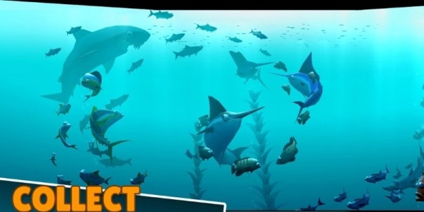 深海生物垂钓