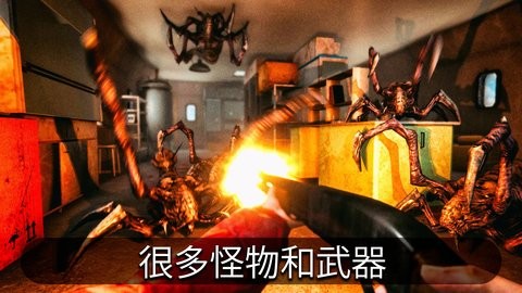 南极洲