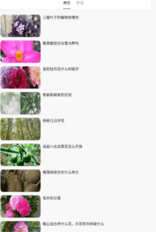 幸福花园君