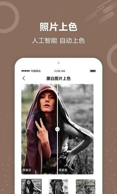 图片照片修复