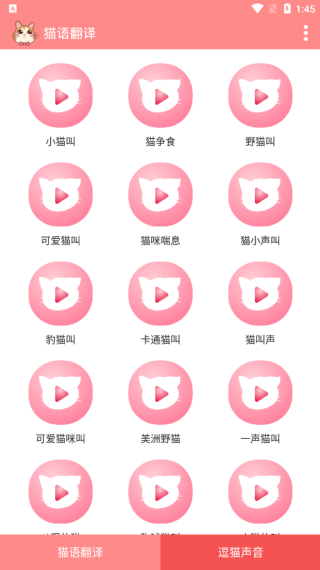 20251113134937_17056.png