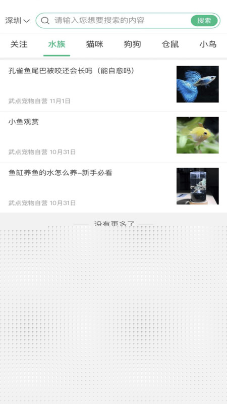 武点宠物