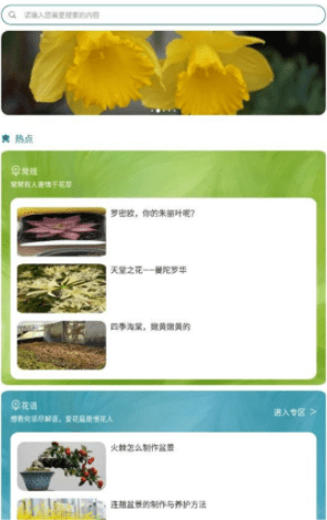 幸福花园君