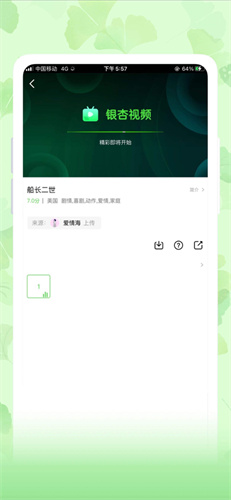 老款银杏视频