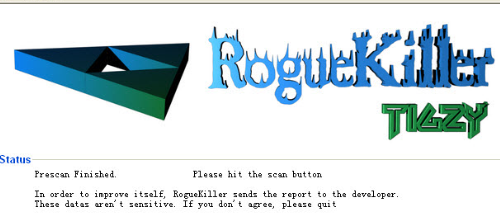 RogueKiller软件界面示意图