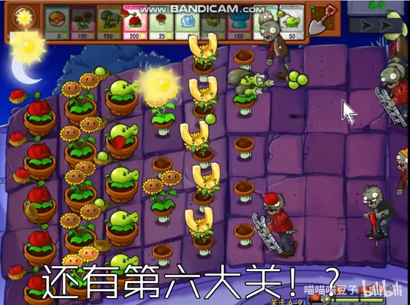 植物大战僵尸抽卡版