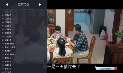 webview电视最新版