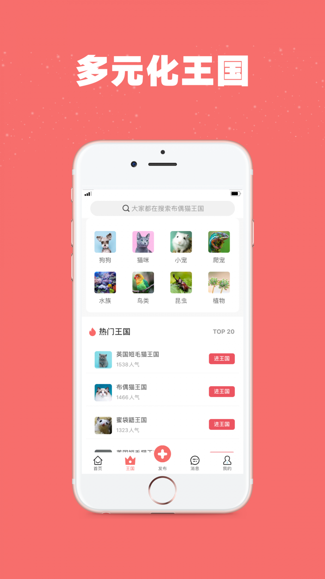 宠物王国