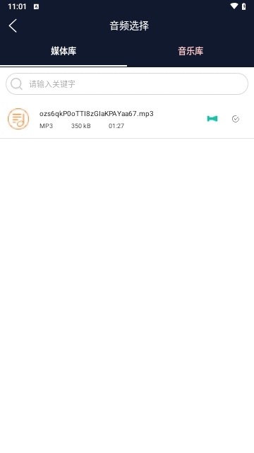 美亚音频编辑