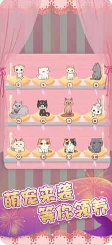 我要养猫咪
