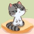 我要养猫咪