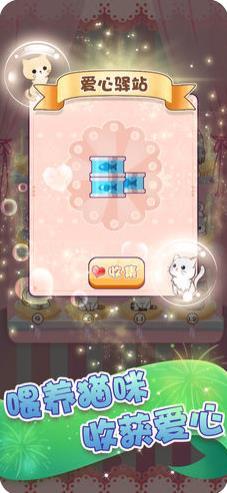 我要养猫咪