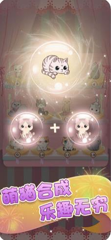 我要养猫咪