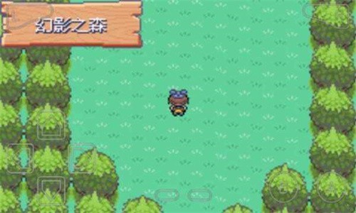 口袋妖怪漆黑的魅影5.0