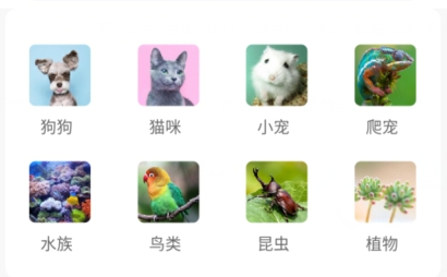 宠物王国app官方版