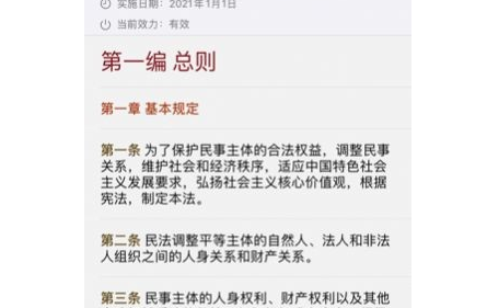 中国法律条文应用界面示意图
