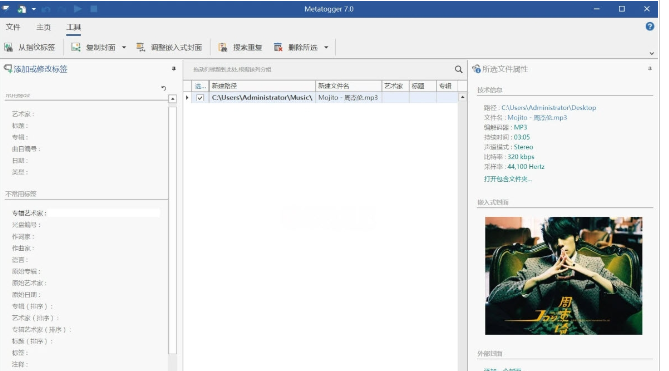 Metatogger中文绿色版 v7.3.1.2免费版
