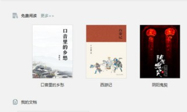 软件界面示意图