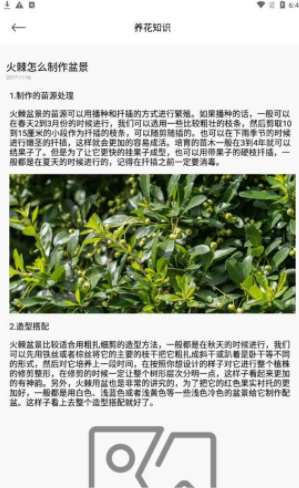 幸福花园君