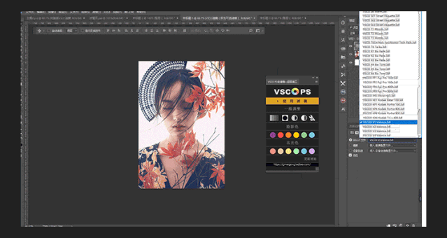 VSCO扩展面板PS插件 v1.0免费版