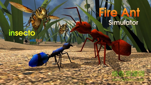 Fire Ant Simulator(火蚁模拟器官方版) 2.0安卓版