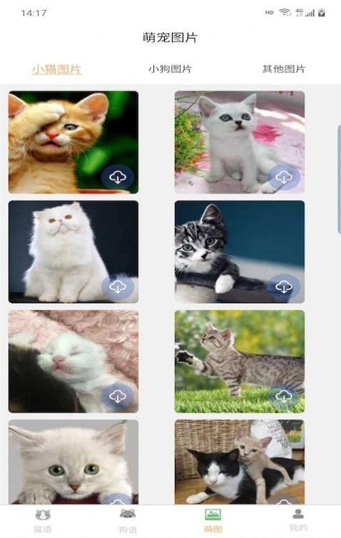 宠猫狗翻译