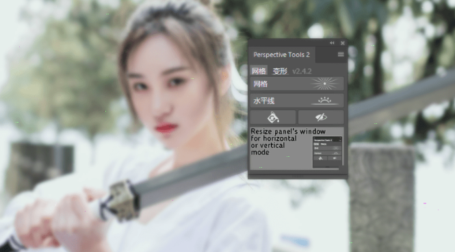 Perspective Tools