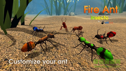 Fire Ant Simulator(火蚁模拟器官方版) 2.0安卓版