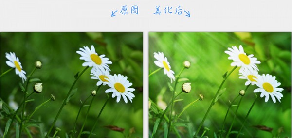 2345看图王 v10.0.0.8806免费版