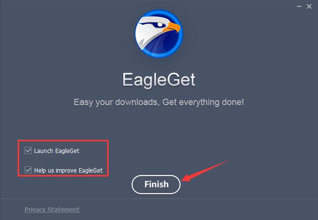 EagleGet安装完成界面