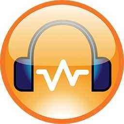 DiskGenius Pro专业版(附有效KEY) v5.4.0.1124